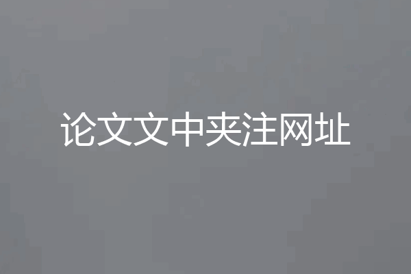 论文文中夹注网址