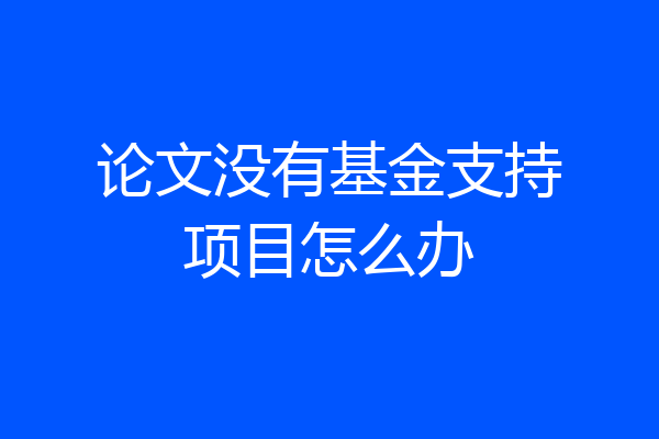 论文没有基金支持项目怎么办