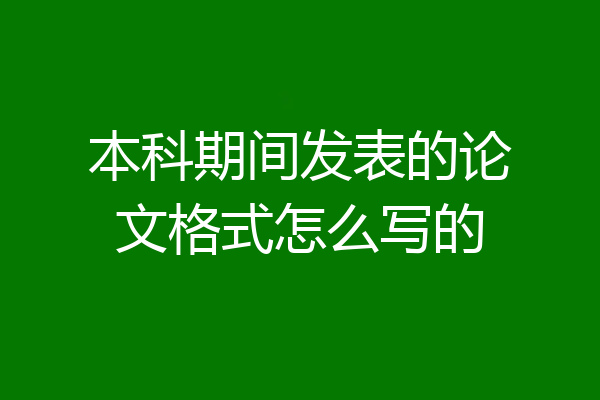 本科期间发表的论文格式怎么写的