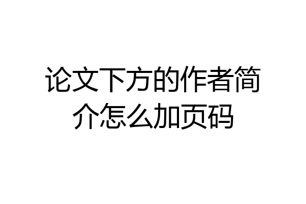 论文下方的作者简介怎么加页码