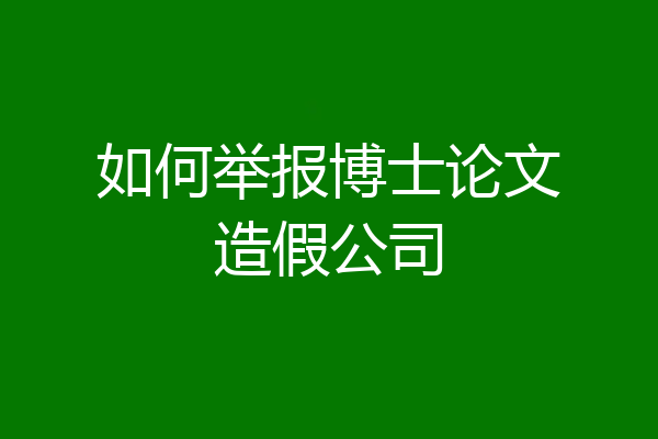 如何举报博士论文造假公司