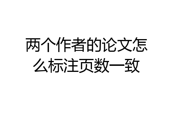 两个作者的论文怎么标注页数一致