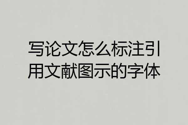 写论文怎么标注引用文献图示的字体