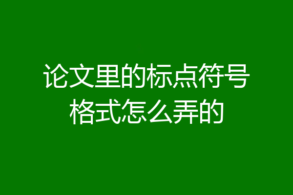 论文里的标点符号格式怎么弄的