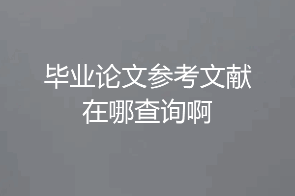 毕业论文参考文献在哪查询啊