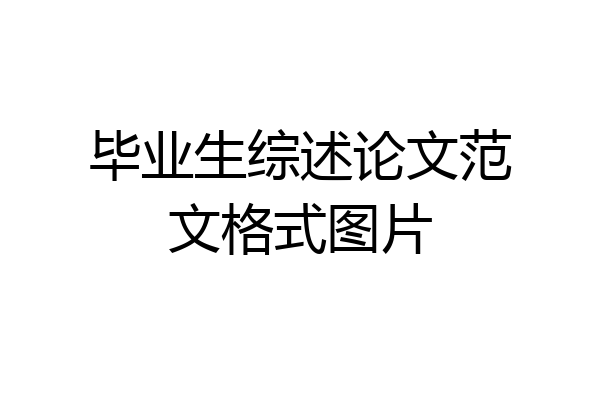 毕业生综述论文范文格式图片