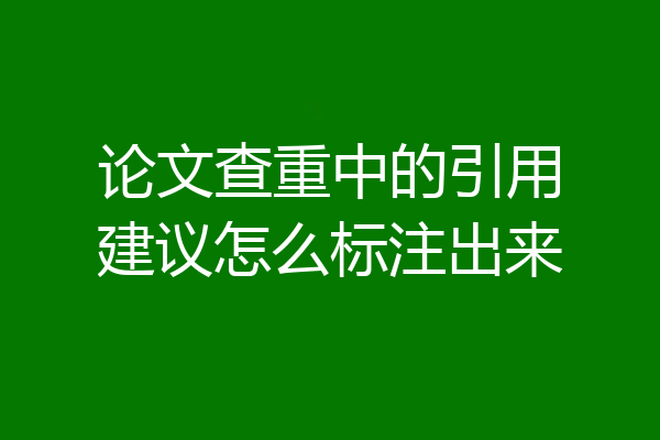 论文查重中的引用建议怎么标注出来