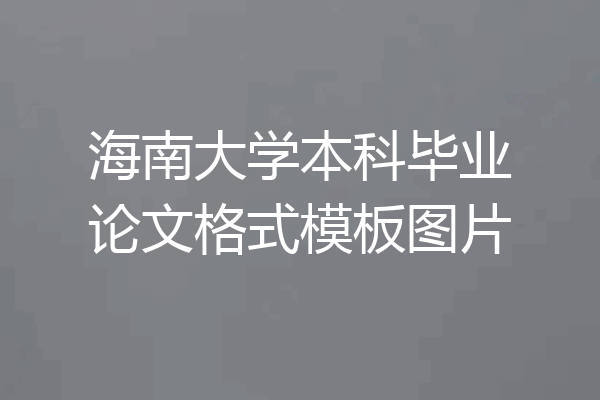 海南大学本科毕业论文格式模板图片