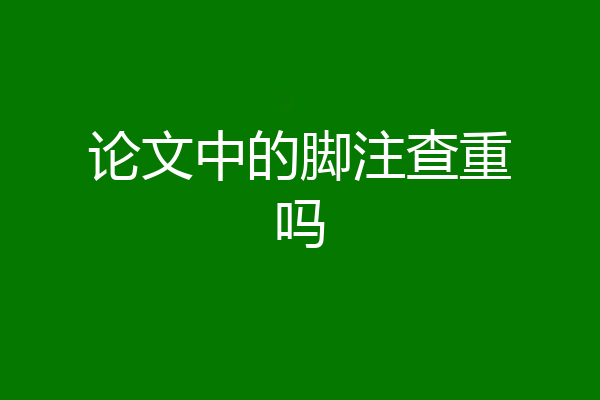 论文中的脚注查重吗