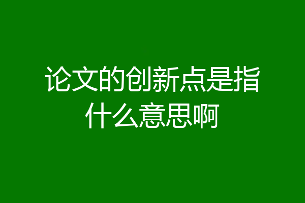 论文的创新点是指什么意思啊