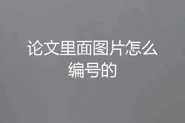 论文里面图片怎么编号的