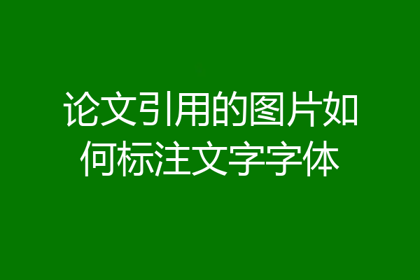 论文引用的图片如何标注文字字体