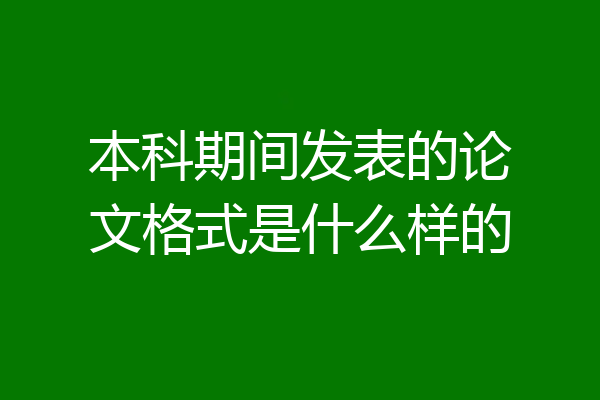 本科期间发表的论文格式是什么样的