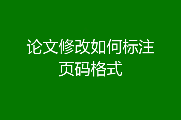 论文修改如何标注页码格式