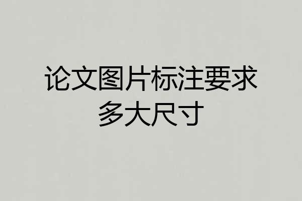 论文图片标注要求多大尺寸