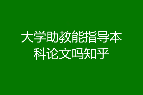 大学助教能指导本科论文吗知乎