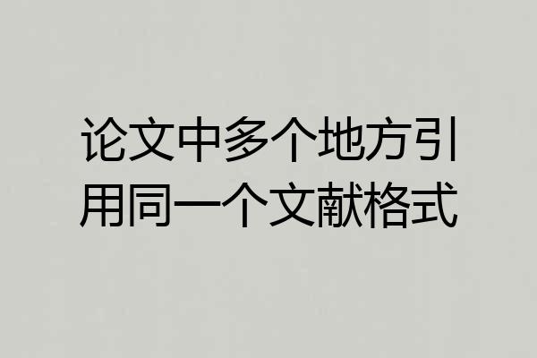 论文中多个地方引用同一个文献格式
