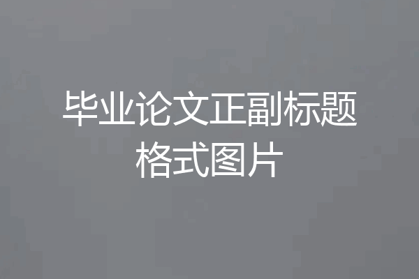 毕业论文正副标题格式图片