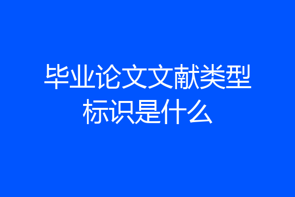 毕业论文文献类型标识是什么