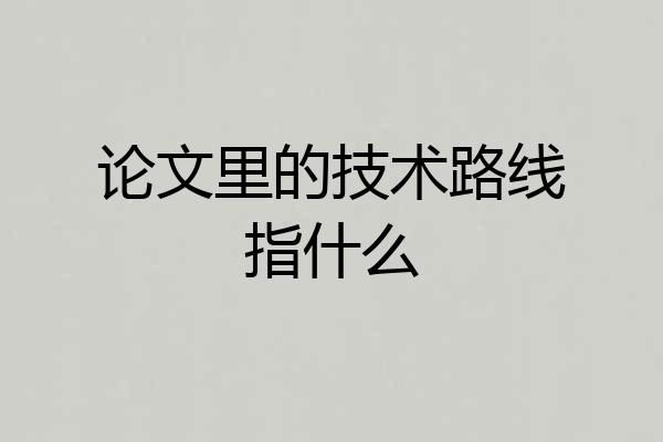 论文里的技术路线指什么