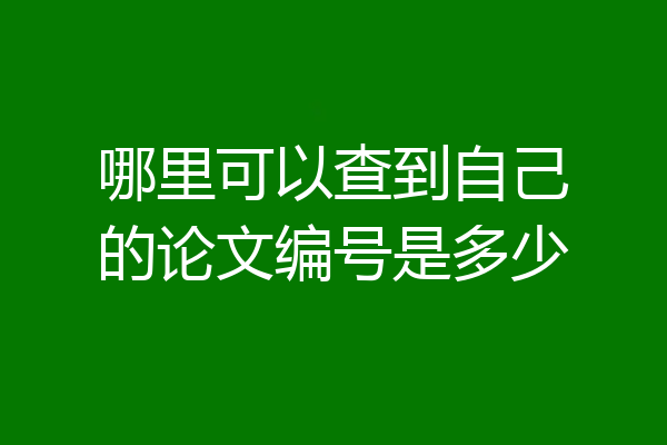 哪里可以查到自己的论文编号是多少
