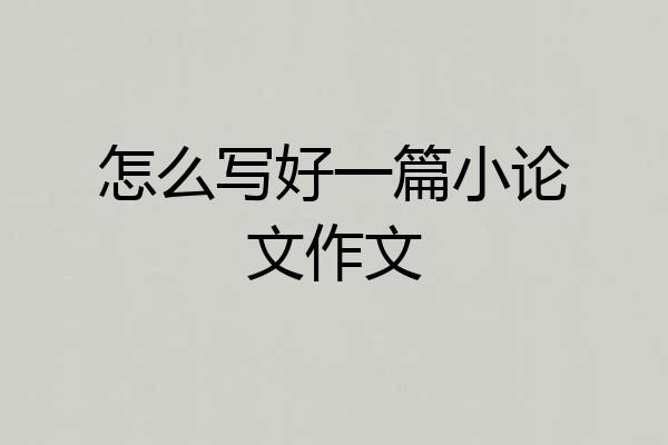 怎么写好一篇小论文作文
