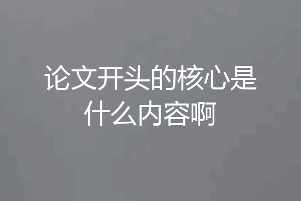 论文开头的核心是什么内容啊