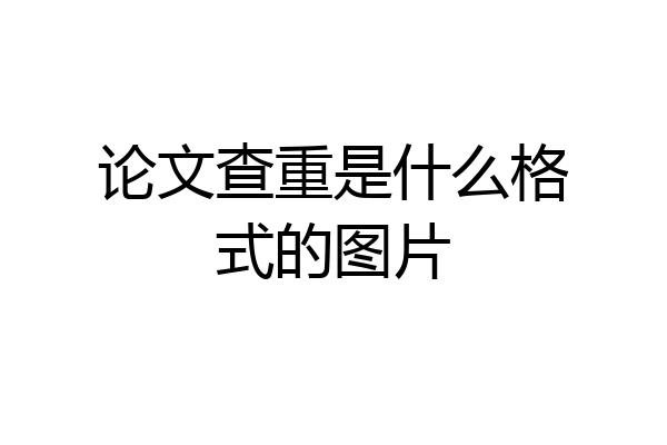 论文查重是什么格式的图片