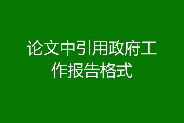 论文中引用政府工作报告格式