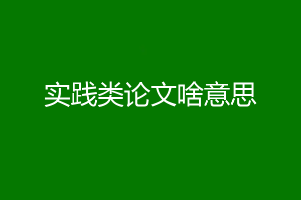 实践类论文啥意思