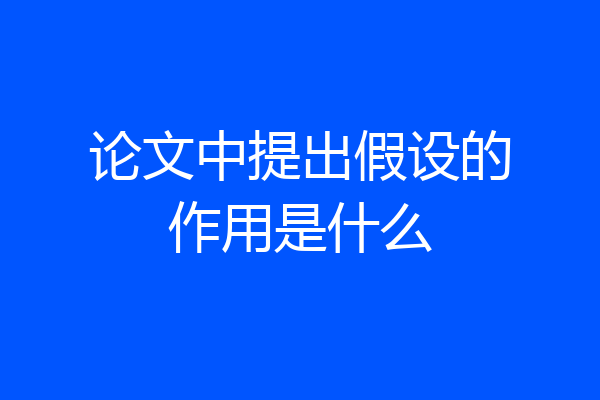 论文中提出假设的作用是什么