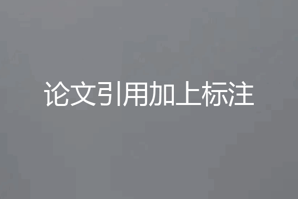 论文引用加上标注