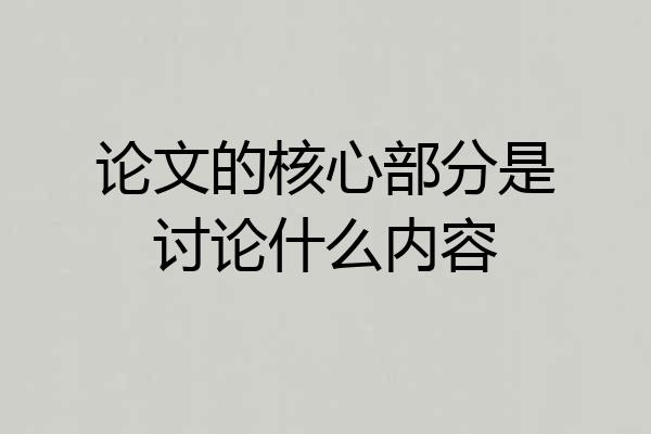 论文的核心部分是讨论什么内容