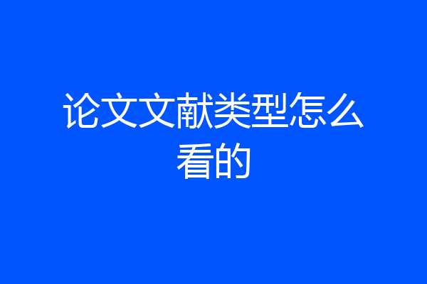 论文文献类型怎么看的