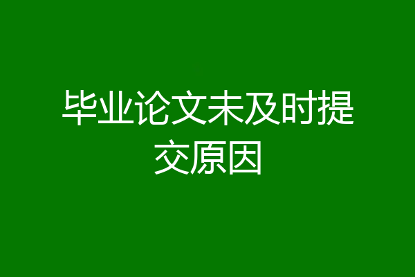 毕业论文未及时提交原因