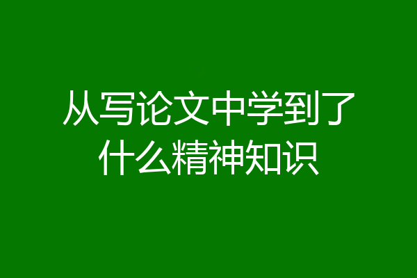 从写论文中学到了什么精神知识