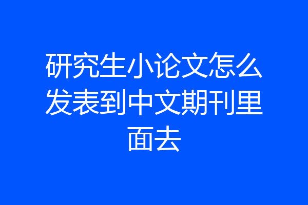 研究生小论文怎么发表到中文期刊里面去