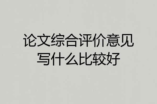 论文综合评价意见写什么比较好