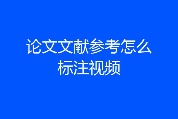 论文文献参考怎么标注视频