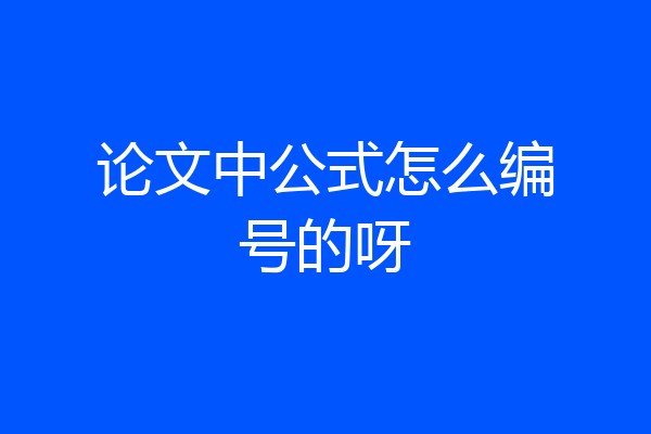 论文中公式怎么编号的呀