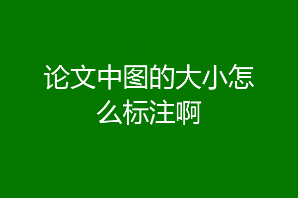论文中图的大小怎么标注啊