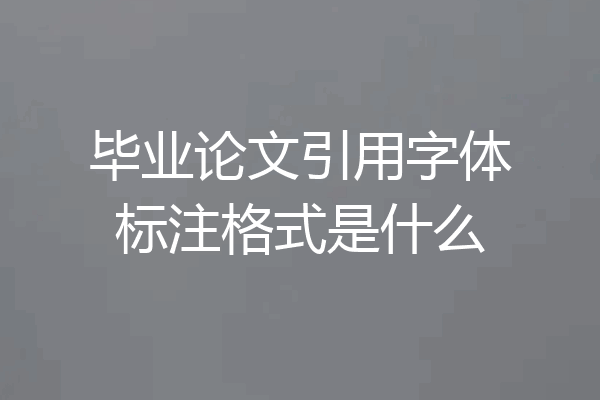 毕业论文引用字体标注格式是什么