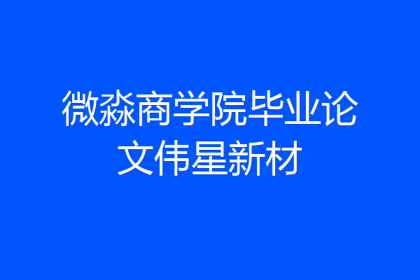 微淼商学院毕业论文伟星新材