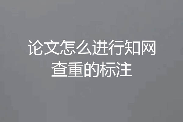 论文怎么进行知网查重的标注