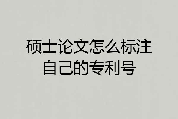 硕士论文怎么标注自己的专利号