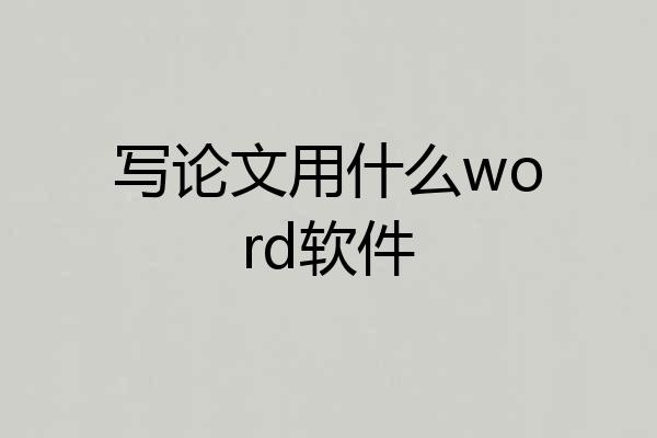 写论文用什么word软件