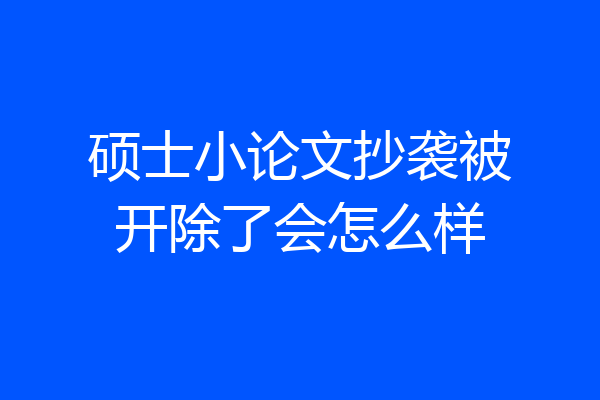 硕士小论文抄袭被开除了会怎么样