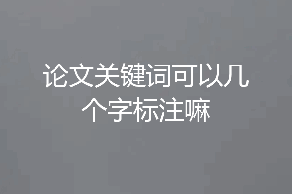 论文关键词可以几个字标注嘛