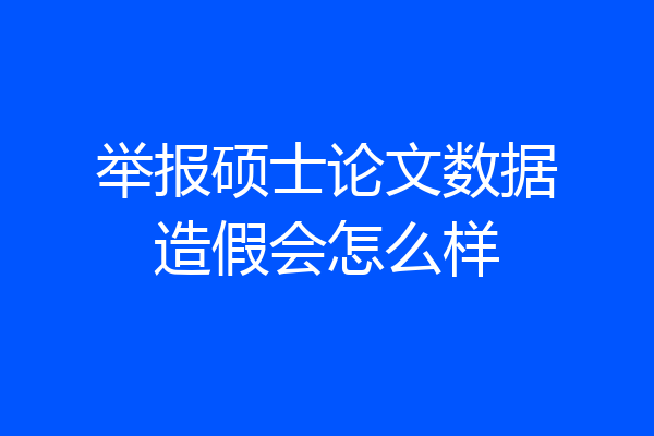 举报硕士论文数据造假会怎么样