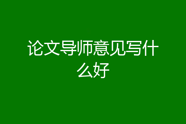 论文导师意见写什么好